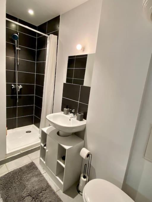 Vaste Appartement Renove - Centre Ville Bourg-en-Bresse Kültér fotó